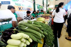 KADIWA VENDORS SELLING VEGGIES